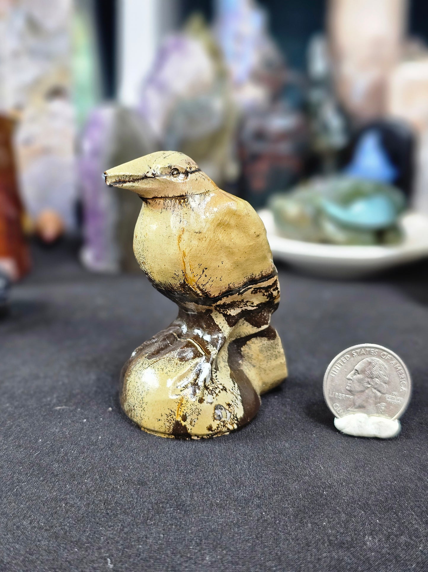 Picture Stone Raven