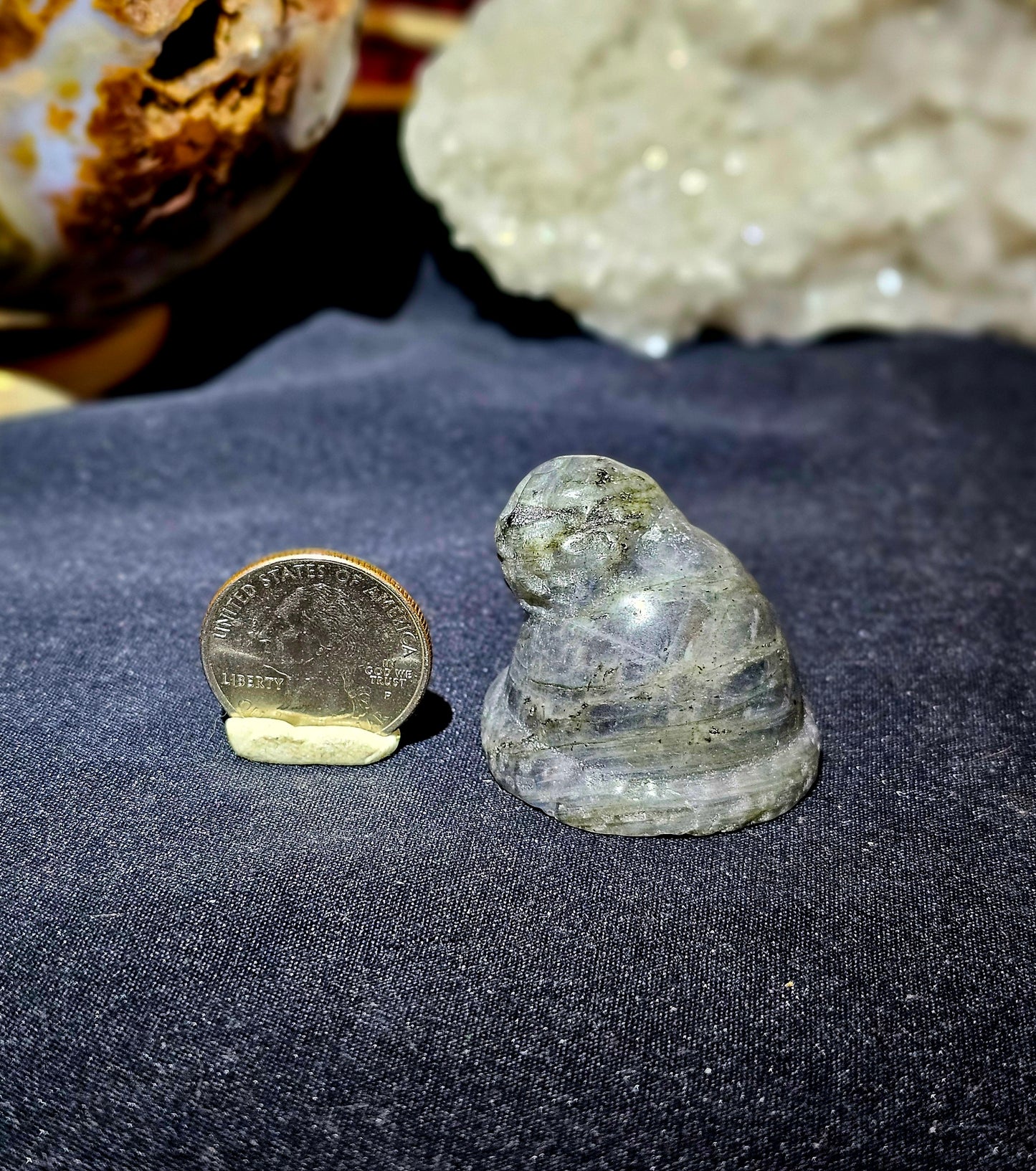 Flashy Lab Stocking Cap! So cool!