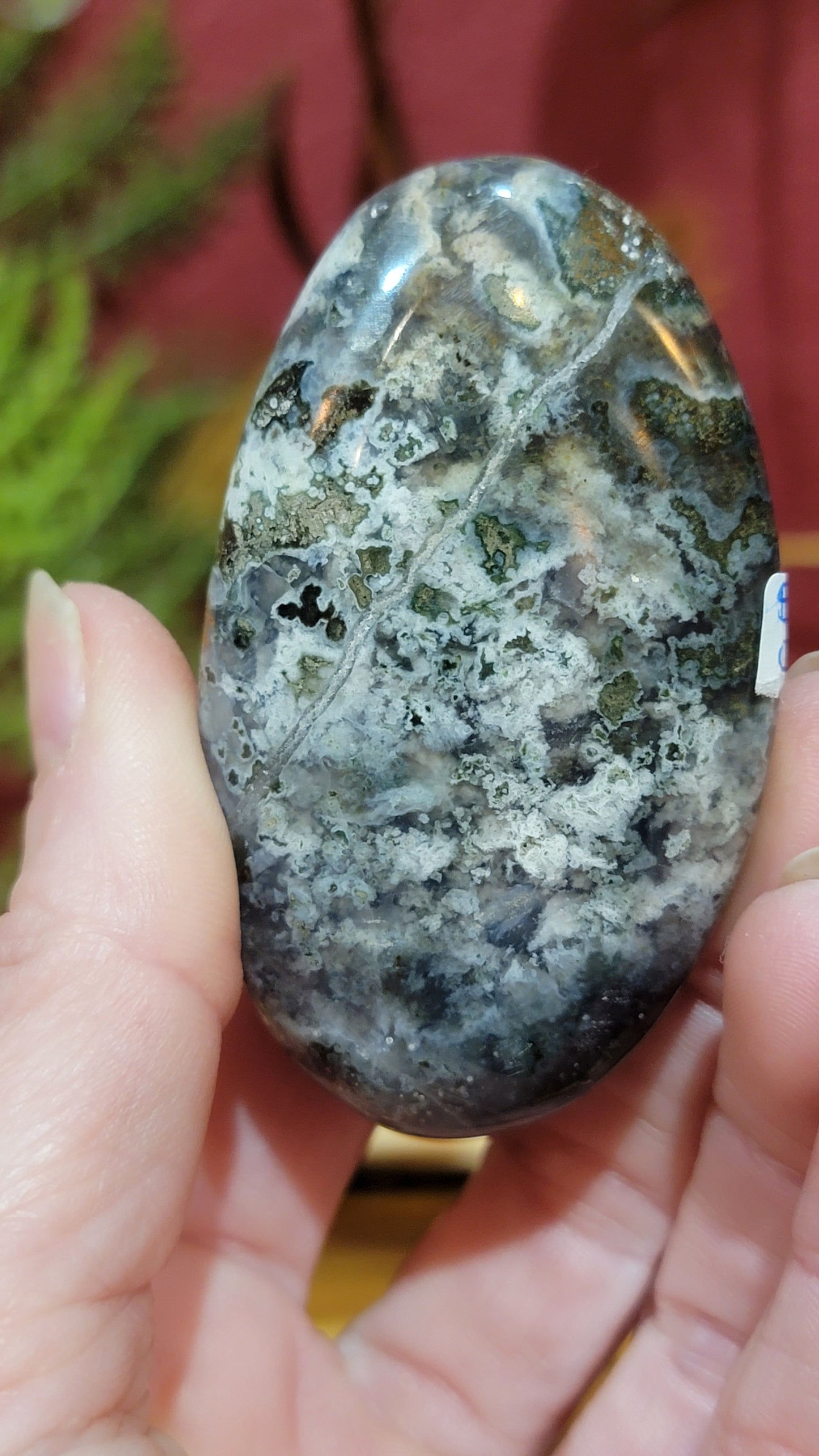 Cosmic Jasper Palm Stones