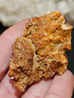 Vanadinite on Barite