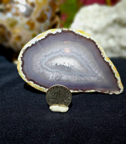Agate geode slab