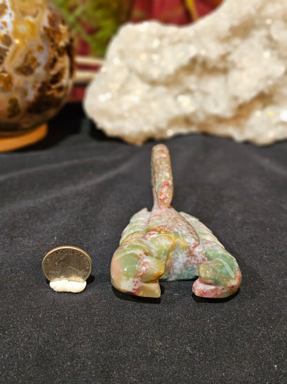 Ocean Jasper Scorpion 🦂
