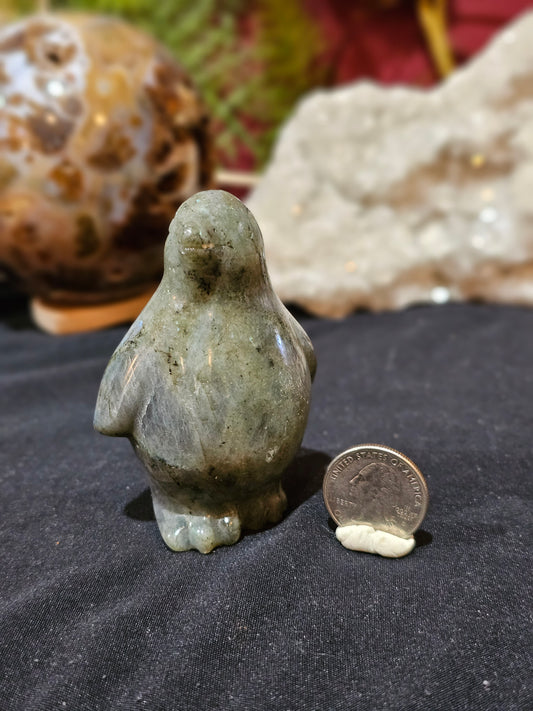 Lab Penguin