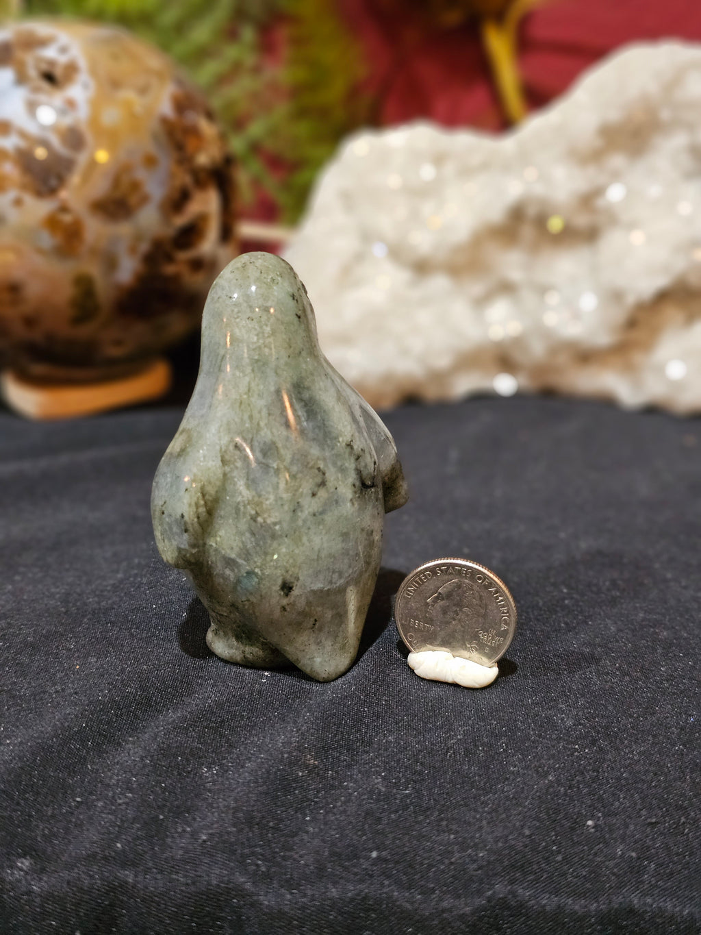 Lab Penguin