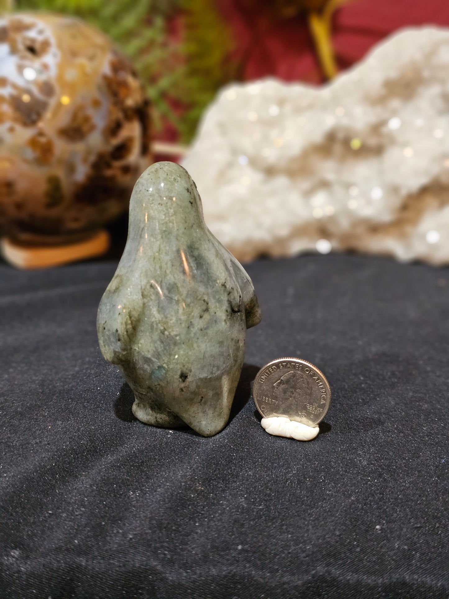 Lab Penguin