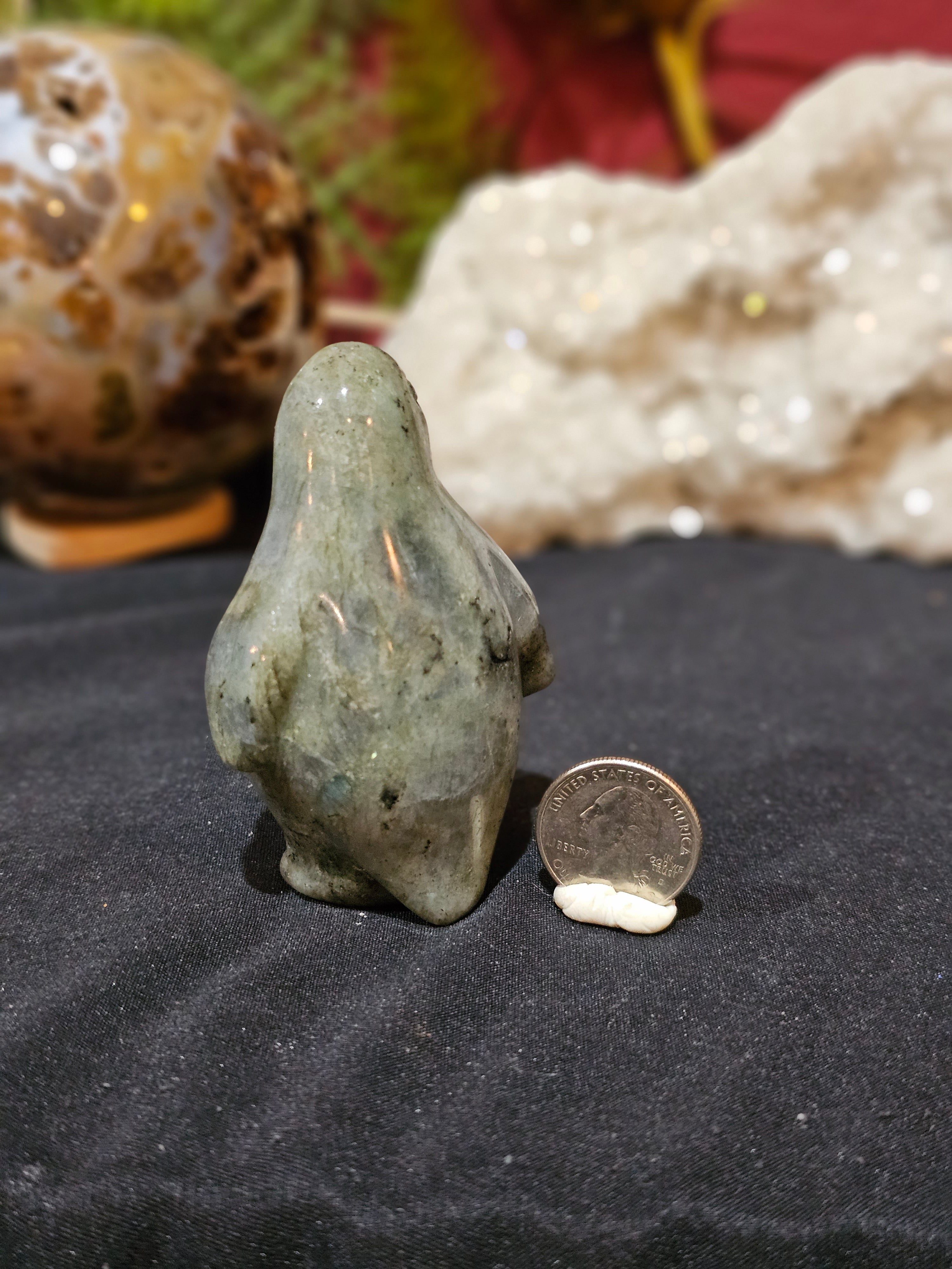 Lab Penguin