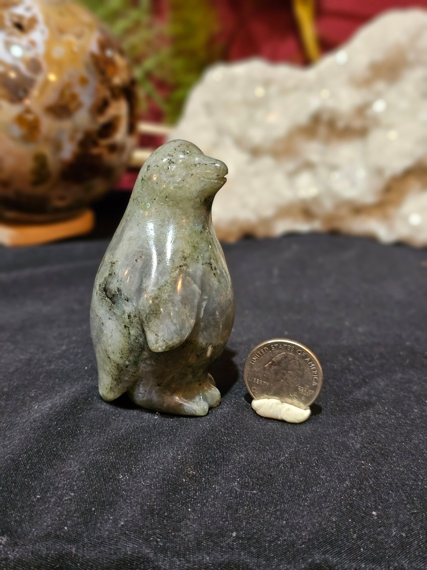 Lab Penguin