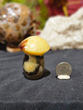 Septarian Mushroom
