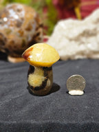 Septarian Mushroom