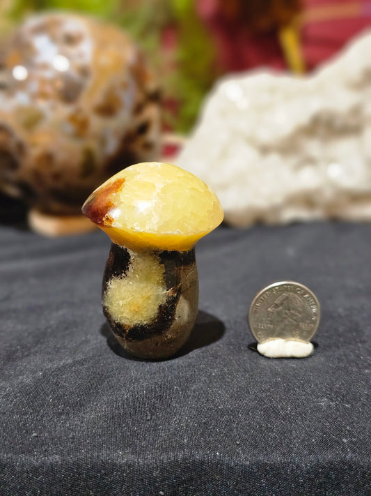 Septarian Mushroom