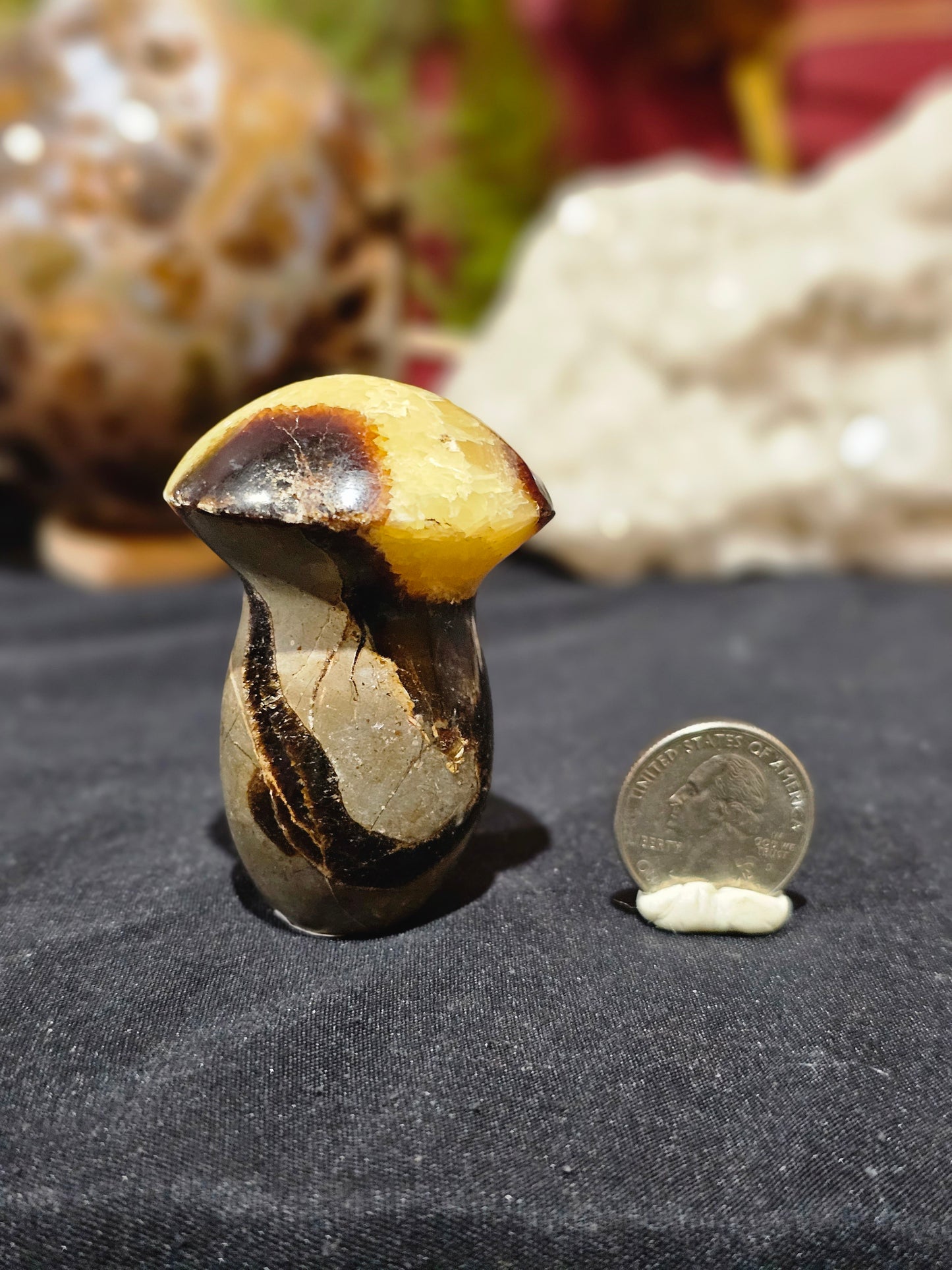 Septarian Mushroom