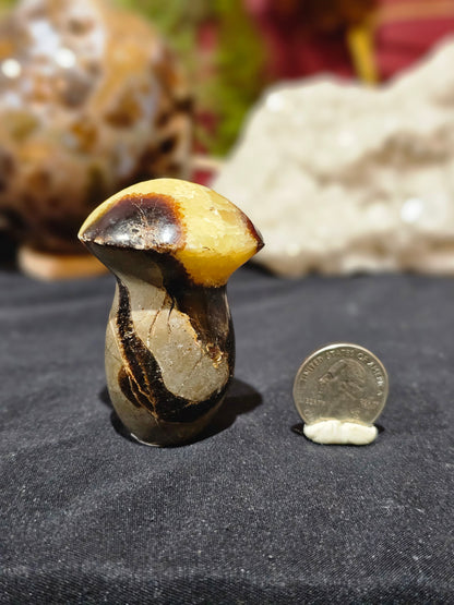 Septarian Mushroom