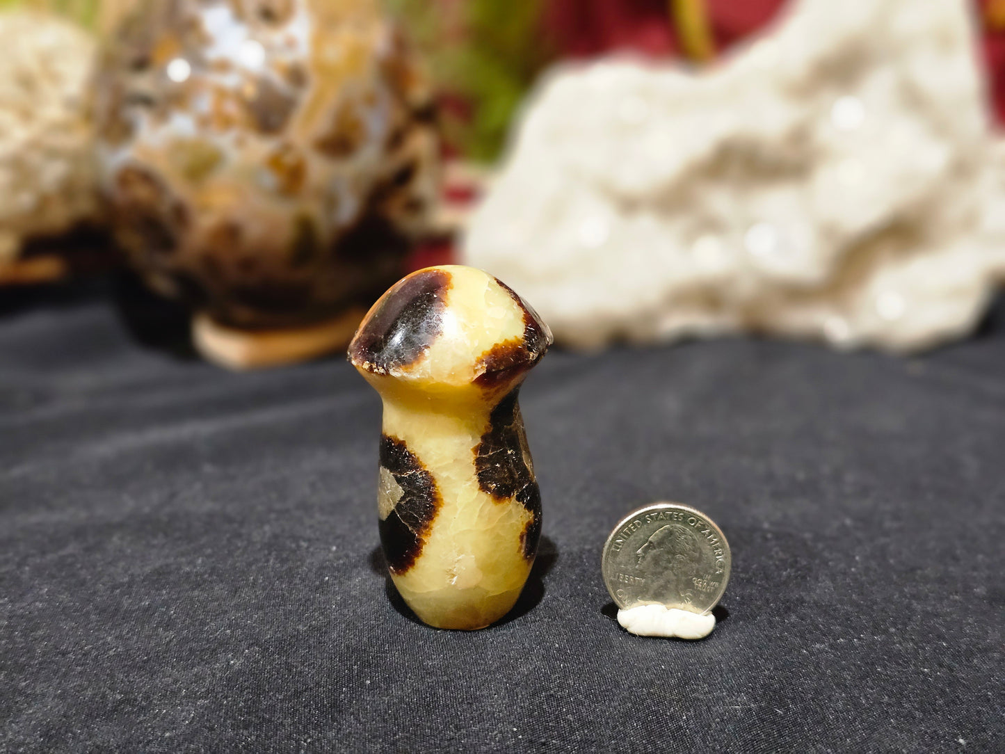Septarian Mushroom