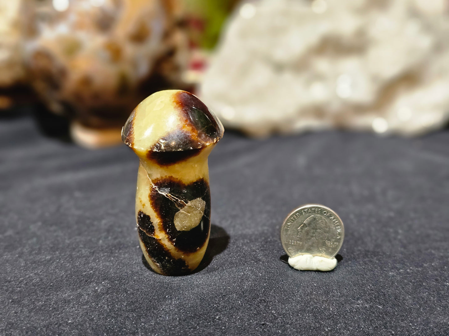 Septarian Mushroom