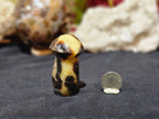 Septarian Mushroom
