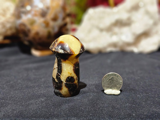 Septarian Mushroom