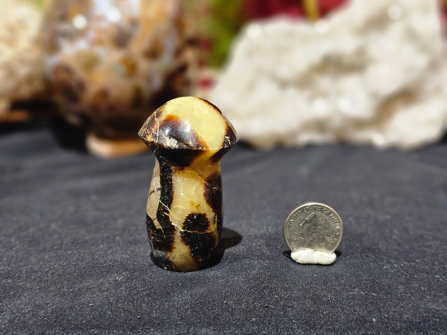 Septarian Mushroom