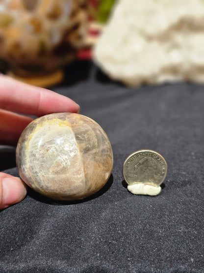 Black Moonstone Palm Stone