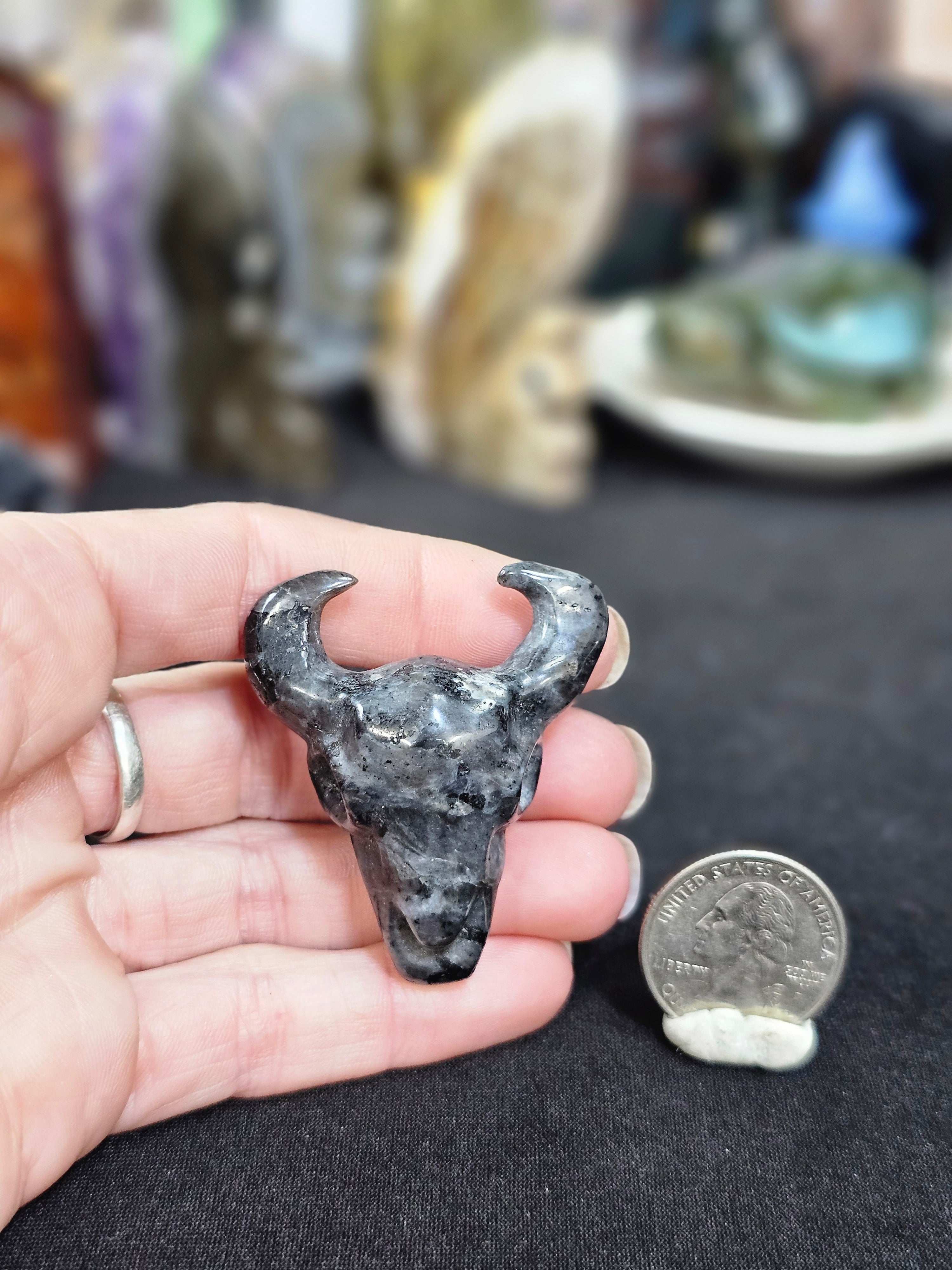 Larvakite Cow Skull
