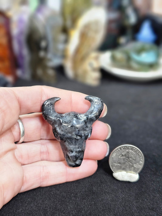 Larvakite Cow Skull