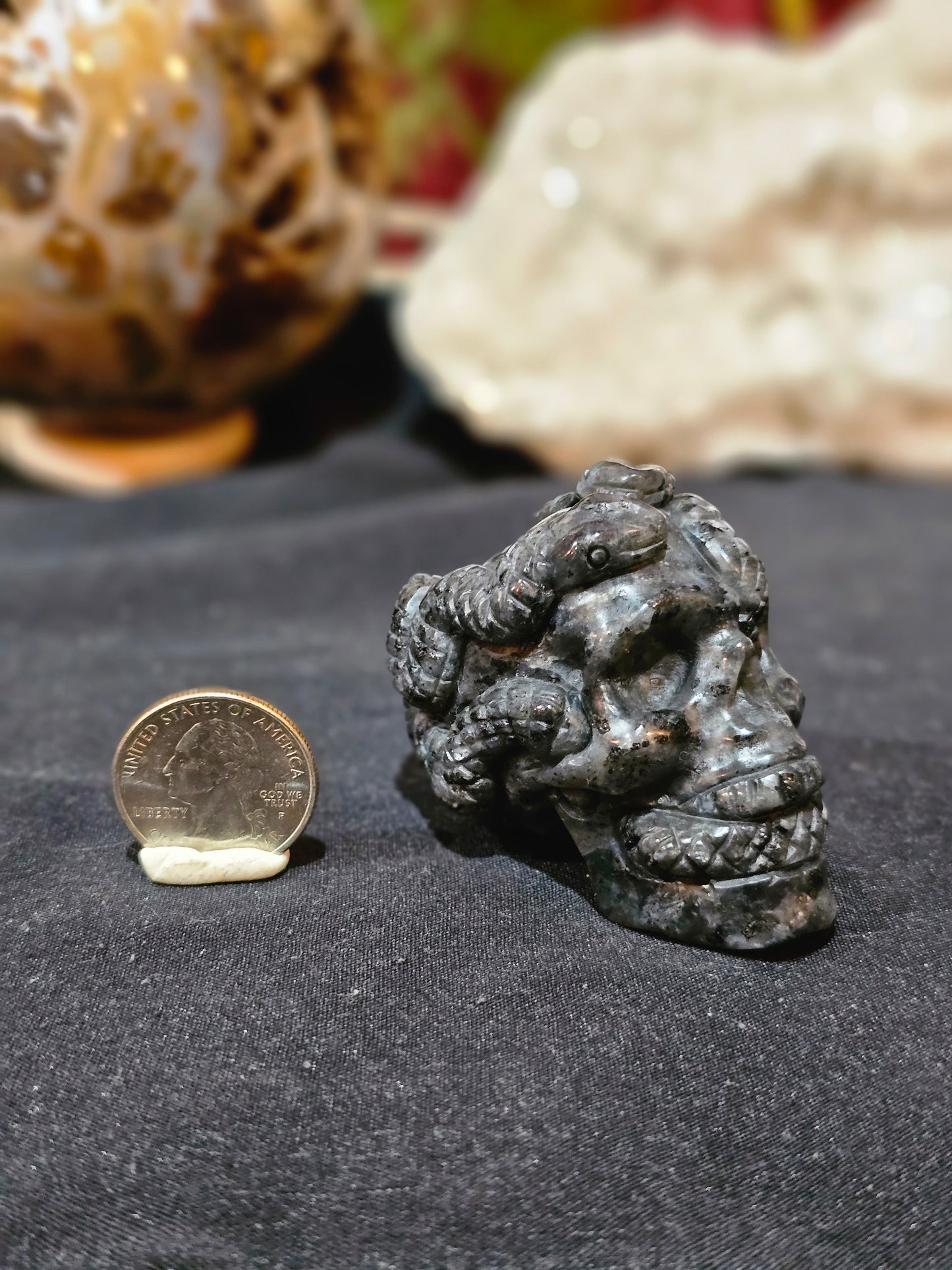 Double Snake Skull in Larvakite