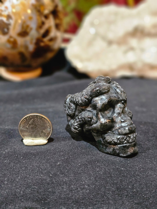 Double Snake Skull in Larvakite