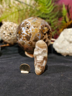 Super Flashy Moonstone Sunstone Moon