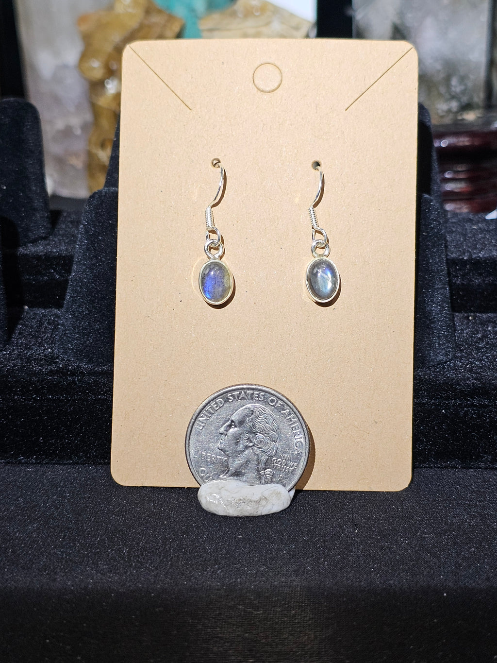 Flashy Lab Earnings. Sterling Silver.925