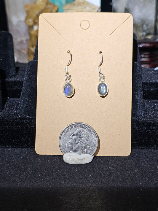 Flashy Lab Earnings. Sterling Silver.925