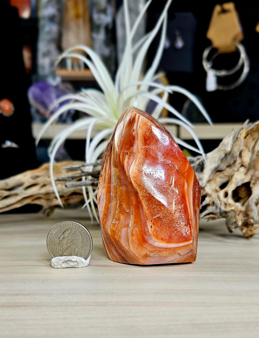 Carnelian 🔥
