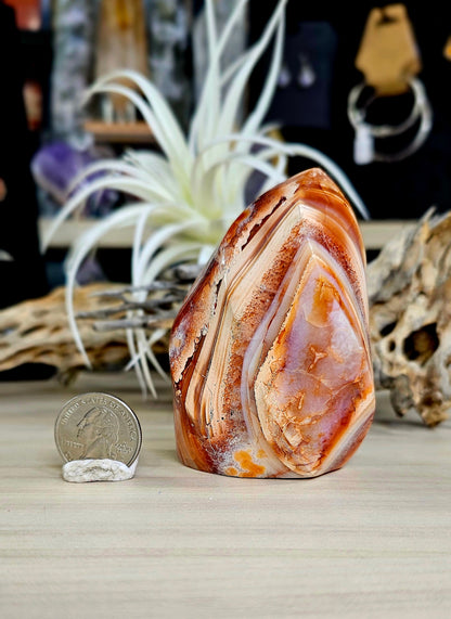 Carnelian 🔥