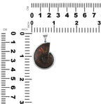 Starborn Fossilized Red Iridescent Ammonite Pendant in Sterling Silver