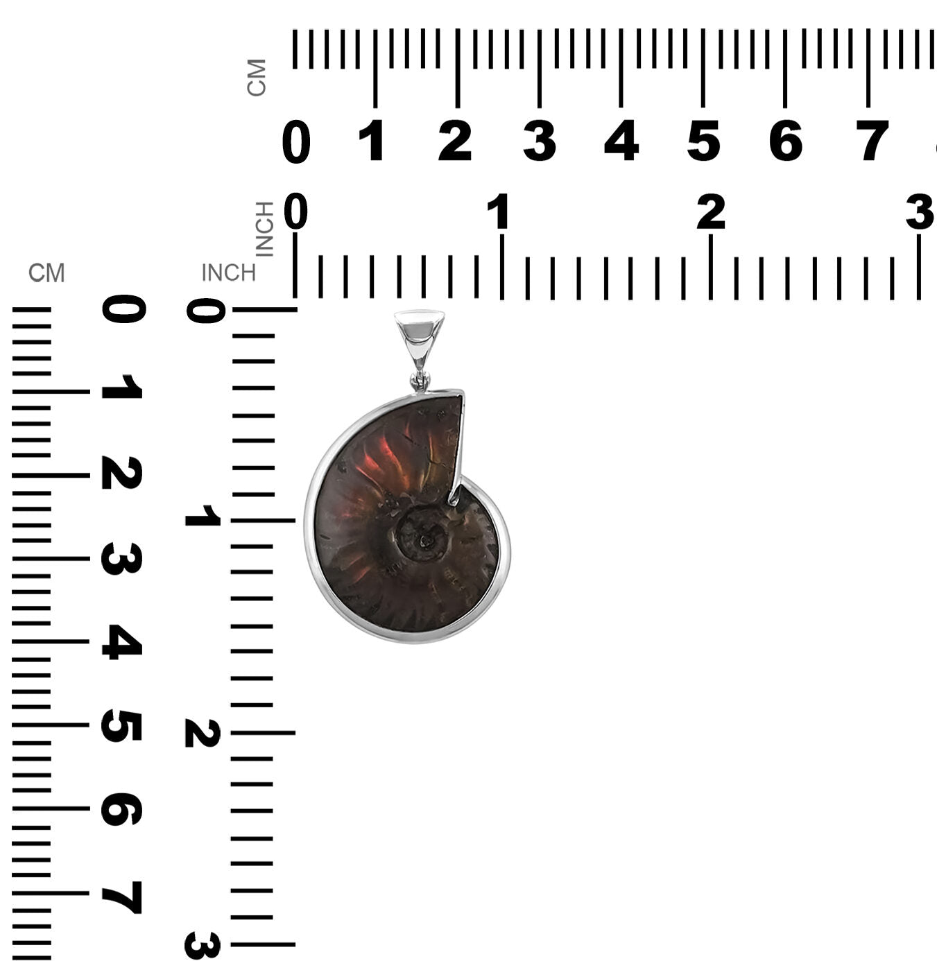Starborn Fossilized Red Iridescent Ammonite Pendant in Sterling Silver