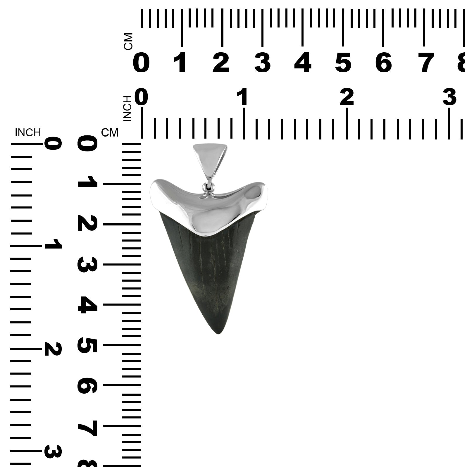 Starborn Dark Fossil Shark Tooth Cap Set Pendant in Fine Sterling Silver