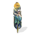Starborn Hand Carved Abalone Shell Feathers 30-35 mm