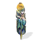 Starborn Hand Carved Abalone Shell Feathers 30-35 mm