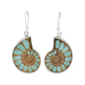 Starborn Ammonite with Turquoise Inlay Earrings in Sterling Silver