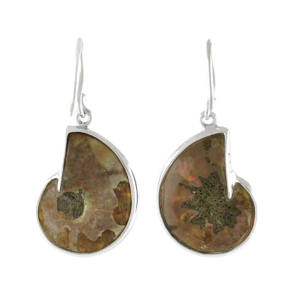 Starborn Ammonite with Turquoise Inlay Earrings in Sterling Silver