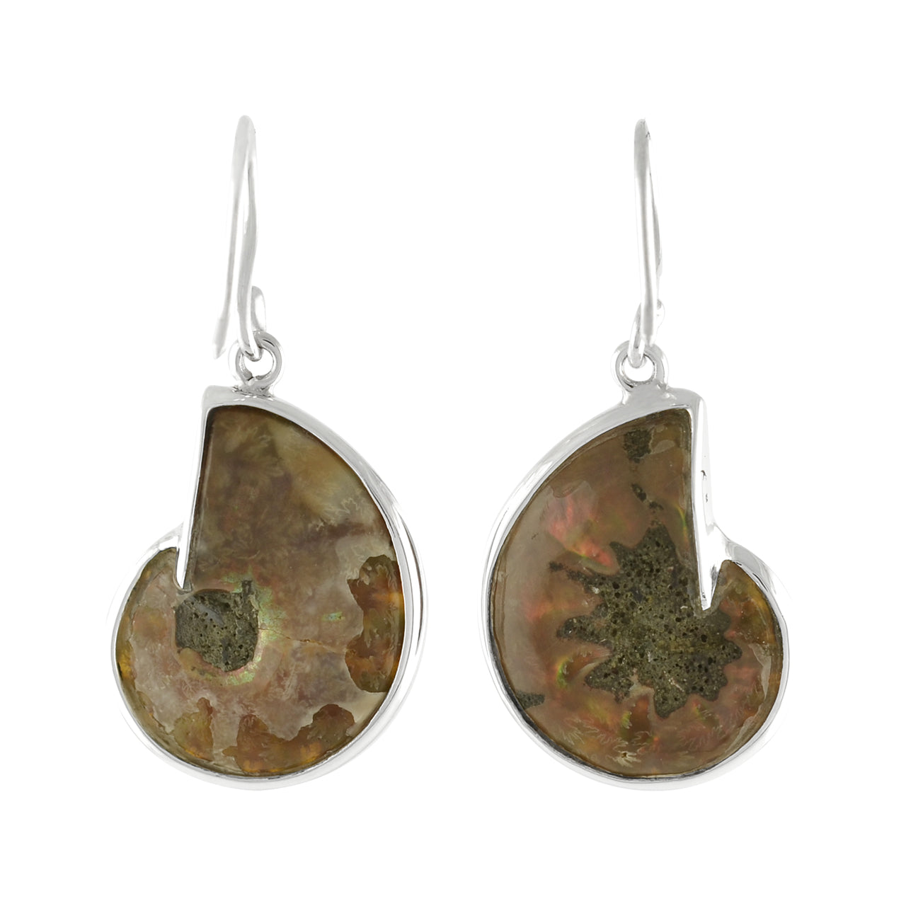 Starborn Ammonite with Turquoise Inlay Earrings in Sterling Silver