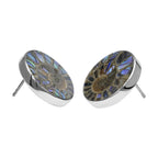 Starborn Ammonite with Abalone Shell Inlay Post Style Earrings in Sterling Silver