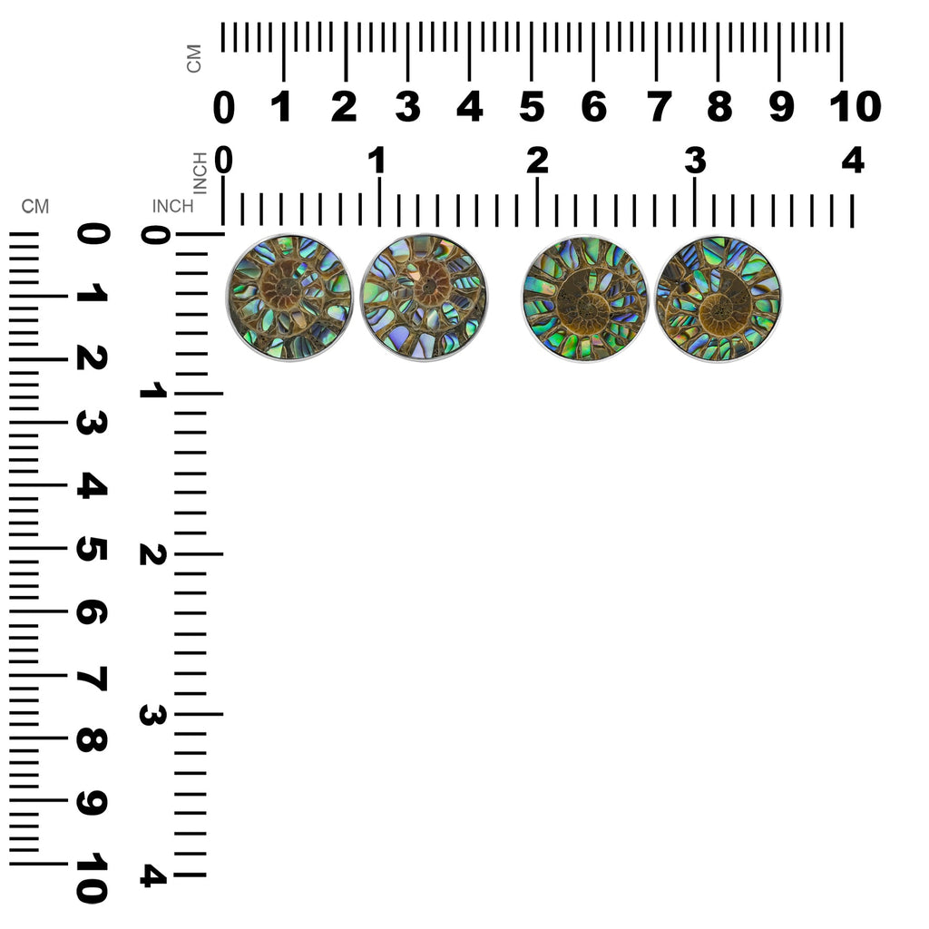 Starborn Ammonite with Abalone Shell Inlay Post Style Earrings in Sterling Silver