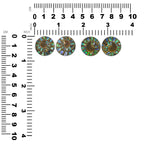 Starborn Ammonite with Abalone Shell Inlay Post Style Earrings in Sterling Silver