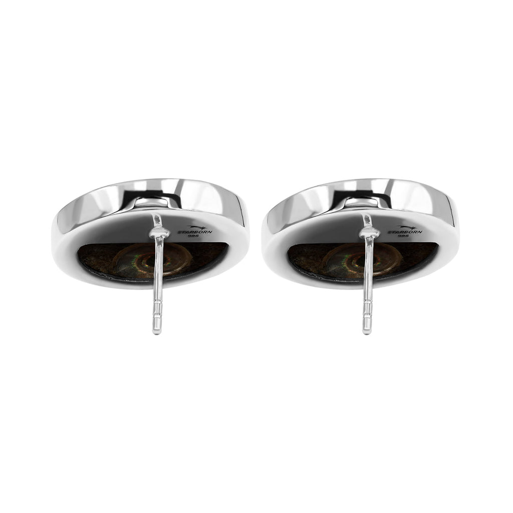 Starborn Ammonite with Sleeping Beauty Turquoise Inlay Post Earrings in Sterling Silver