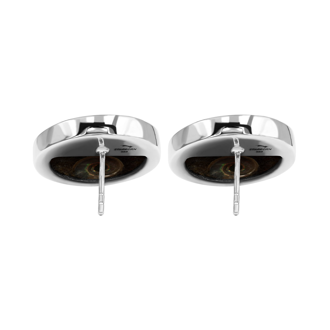 Starborn Ammonite with Sleeping Beauty Turquoise Inlay Post Earrings in Sterling Silver