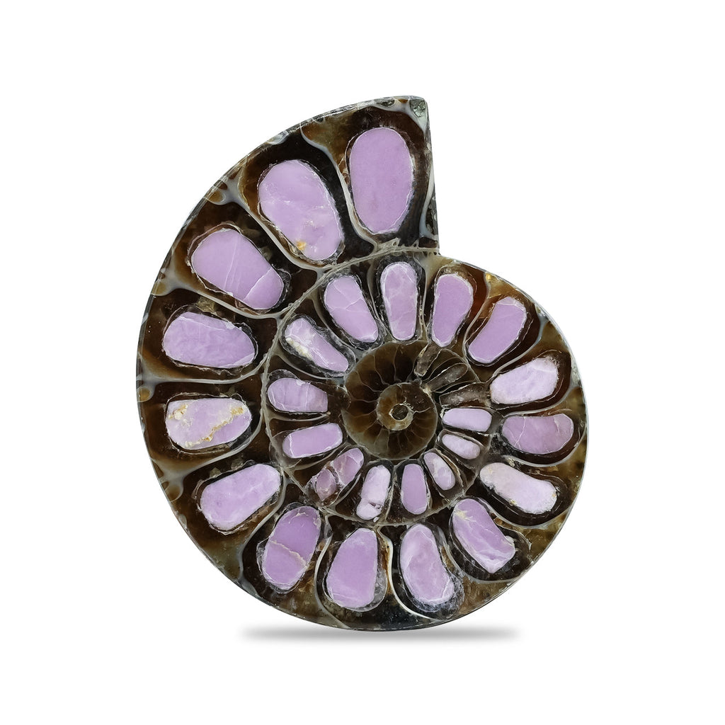 Starborn Half Ammonite with Lilac Phosphosiderite Inlay Cabochon 33 - 36mm, 1 Piece