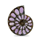 Starborn Half Ammonite with Lilac Phosphosiderite Inlay Cabochon 33 - 36mm, 1 Piece