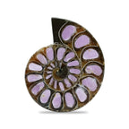 Starborn Half Ammonite with Lilac Phosphosiderite Inlay Cabochon 33 - 36mm, 1 Piece