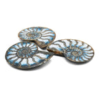 Starborn Ammonite with Blue Ice Glacierite Inlay Cabochon 56 - 60mm, 1 Piece