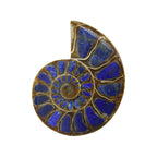Starborn Half Ammonite with Lapis Lazuli Inlay Cabochon 58 - 62 mm, 1 Piece