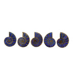 Starborn Half Ammonite with Lapis Lazuli Inlay Cabochon 58 - 62 mm, 1 Piece